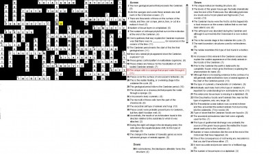 Cambrian and Ordovician periods CW.jpg