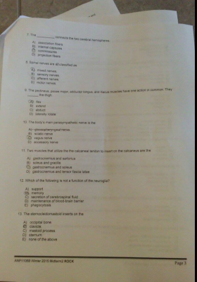 Screen Shot 2015-03-10 at 3.32.41 PM.png