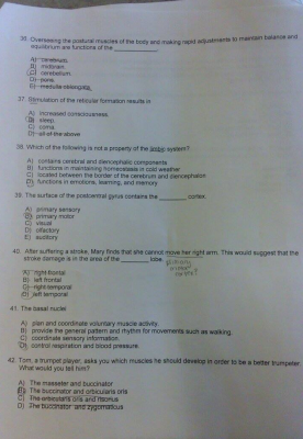 Screen Shot 2015-03-10 at 3.31.12 PM.png