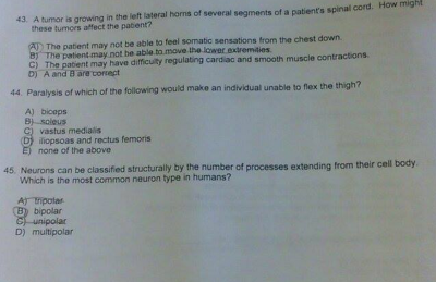 Screen Shot 2015-03-10 at 3.30.34 PM.png