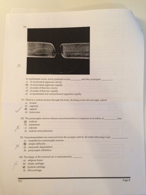 IMG_0978 [1445895].JPG