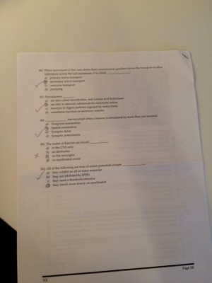 IMG_0980 [1445897].JPG