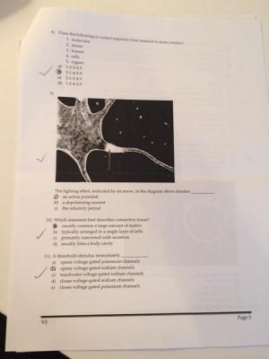 IMG_0973 [1446007].JPG