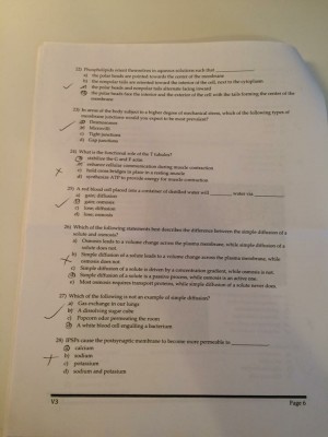 IMG_0976 [1445893].JPG