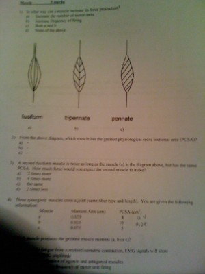 EDKP midterm 001.JPG