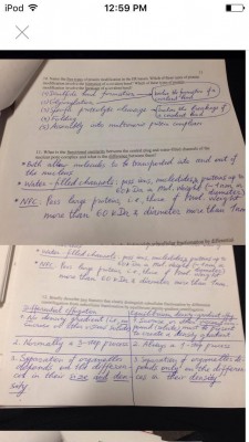 14964056_1142829962467013_1970152984_o 6.28.41 PM.jpg