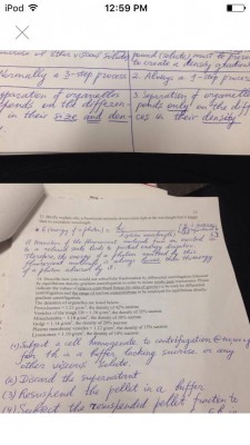 14964071_1142830065800336_2091448670_o 6.28.41 PM.jpg