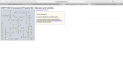 ANP1106 Crossword #2 Raghda El hassanein.png