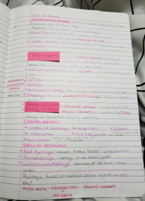 Anatomy notes.jpg