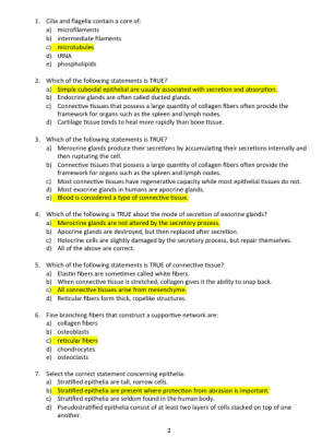 Screen Shot 2019-11-12 at 11.58.04 AM.png