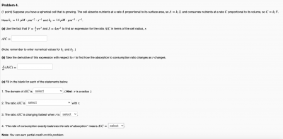 Screen Shot 2020-10-14 at 11.45.40 AM.png