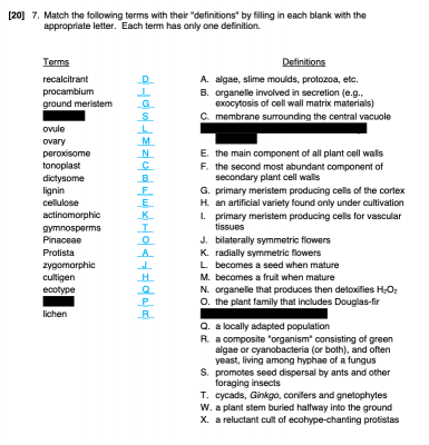 Screen Shot 2019-10-20 at 2.16.33 PM.png