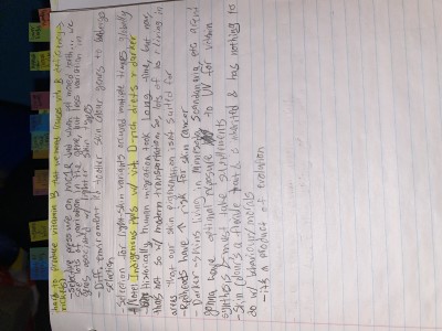 3 - Biology of Skin Video Colour Notes.jpg